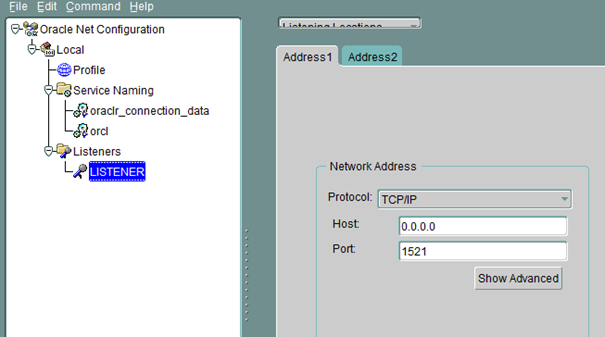 WIN netmgr LISTENER